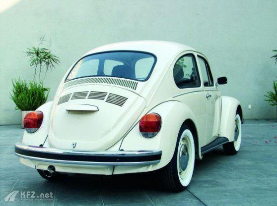 vw-kaefer-9.jpg