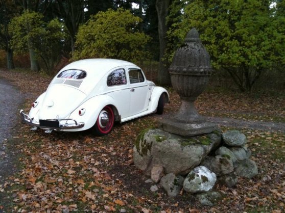foto7.jpg