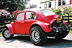 baja-beetle-dans-1_1__1_.jpg