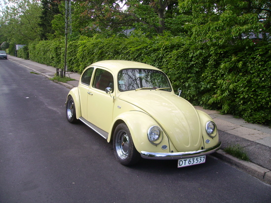 PICT0055.jpg