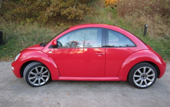 beetle03.jpg