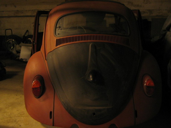 beetle_003.jpg