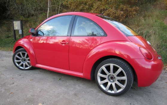 beetle04.jpg
