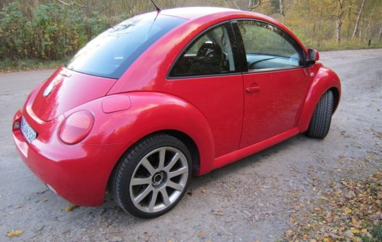 beetle05.jpg