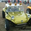 beach-buggy-metal-flake-pai.jpg