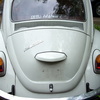 vw_008.jpg