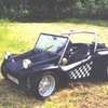buggy-lindner.bmp