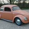 beetle1.jpg