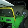 buggy_010.jpg