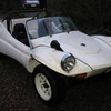 buggy_009.jpg