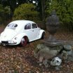 foto7.jpg