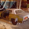DSC00239.jpg