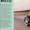 beetle4.jpg