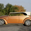 VW_Conv_Dk_09_resize_resize_resize_resize.JPG