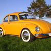 vw_1303_s_003.jpg