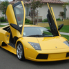murcielago_202.jpg