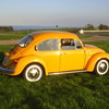 vw_1303_s_008.jpg