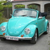 VW_005.jpg