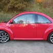 beetle03.jpg