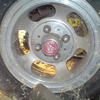 DSC00207.jpg