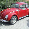 beetle_001.jpg