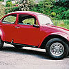 baja-beetle-dans-3_1__1_.jpg