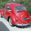 beetle_004.jpg