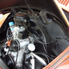 P1010431.jpg