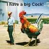 big-cock.jpg